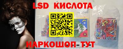 прущие грибы Канаш