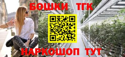 мет Камышлов