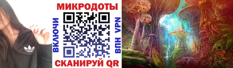 Галлюциногенные грибы Magic Shrooms  Черкесск 
