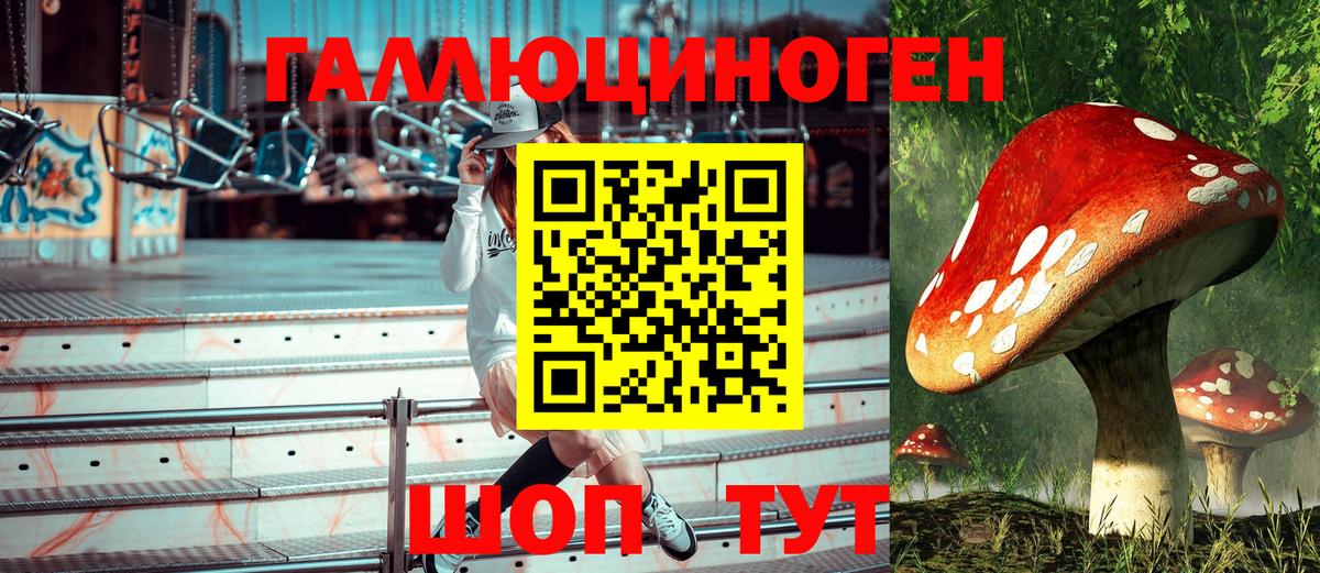 Псилоцибиновые грибы MAGIC MUSHROOMS Черкесск